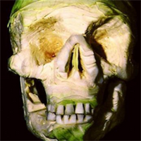 微信骷髅头像图片大全