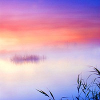 春夏秋天不同季节的唯美风景头像图片