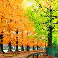 春夏秋天不同季节的唯美风景头像图片