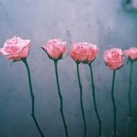 粉色系头像 甜蜜的爱的味道