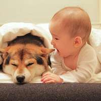 超可爱男宝宝跟萌宠头像