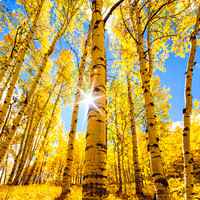 春夏秋天不同季节的唯美风景头像图片