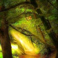 春夏秋天不同季节的唯美风景头像图片