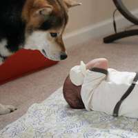 超可爱男宝宝跟萌宠头像