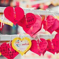 静物头像清新唯美