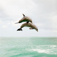 微信头像风景唯美