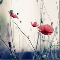 高清微信唯美头像图片