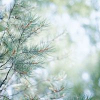 简单干净的微信头像图片