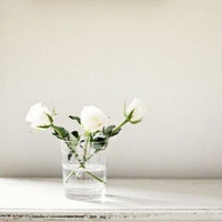 简单干净的微信头像图片