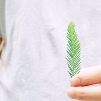 简单干净的微信头像图片