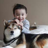 超可爱男宝宝跟萌宠头像