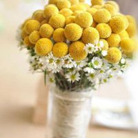 好看的微信头像图片花_清新好看的花