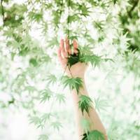 简单干净的微信头像图片