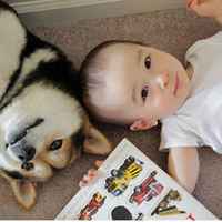 超可爱男宝宝跟萌宠头像