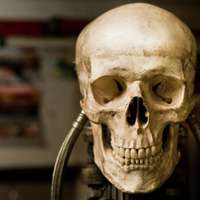 微信骷髅头像图片大全