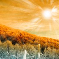 春夏秋天不同季节的唯美风景头像图片