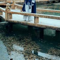 女生头像古风唯美清纯