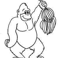 儿童简笔画猴子可爱头像