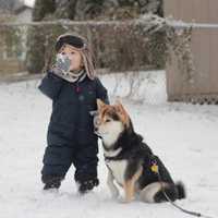 超可爱男宝宝跟萌宠头像