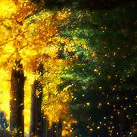 春夏秋天不同季节的唯美风景头像图片