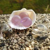 静物头像清新唯美