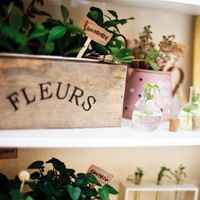 静物微信头像 唯美静物清爽文艺