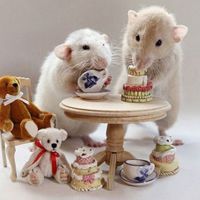 小老鼠可爱头像 超萌超可爱的小老鼠