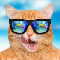 高清恶搞搞怪的逗比合集