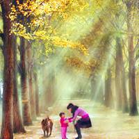 春夏秋天不同季节的唯美风景头像图片