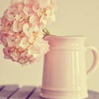 好看简单大方干净的微信头像图片