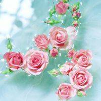 徽信头像图片花朵 色彩淡雅的清新花朵