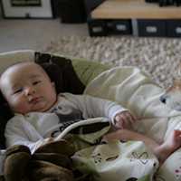 超可爱男宝宝跟萌宠头像