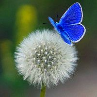 春夏秋天不同季节的唯美风景头像图片