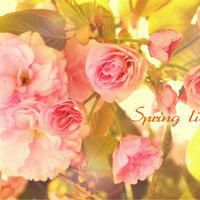 唯美意境意境头像 不同风格的唯美意境