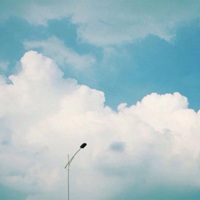 微信头像图片唯美静物