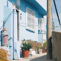 微信头像图片唯美静物