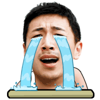 搞笑的王大锤动态表情头像全集