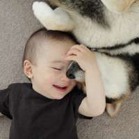 超可爱男宝宝跟萌宠头像