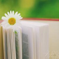 唯美意境意境头像 不同风格的唯美意境