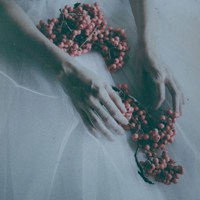 微信头像图片唯美静物