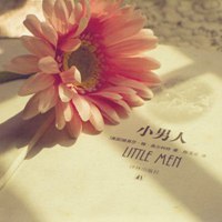 微信头像图片唯美静物