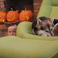 超可爱男宝宝跟萌宠头像