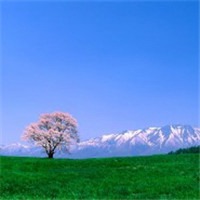 富有深意的头像_触心的深意