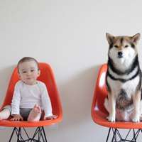 超可爱男宝宝跟萌宠头像