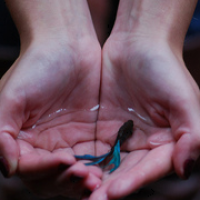 微信头像手唯美_唯美好看的手暖手又暖心