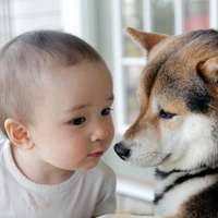 小孩和狗头像,萌宠与萌娃头像图片