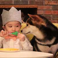 小孩和狗头像,萌宠与萌娃头像图片