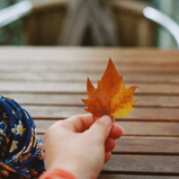 微信头像手唯美_唯美好看的手暖手又暖心