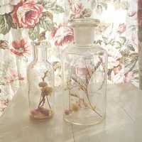 静物微信头像 唯美静物清爽文艺