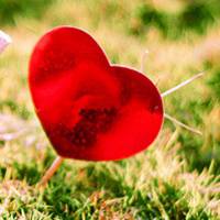 好看的心形头像